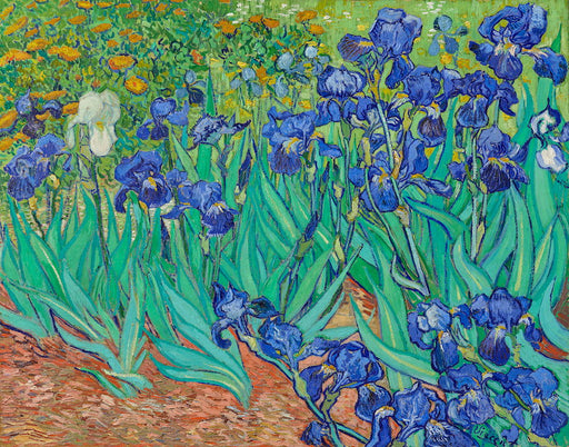 Irises 1889 by Vincent Van Gogh - Vladimir Arts USA Inc