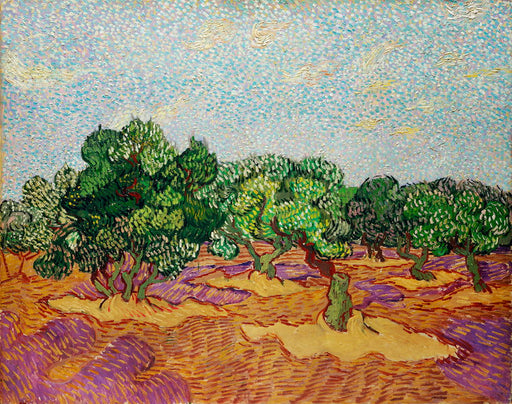 Olive Trees by Vincent Van Gogh - Vladimir Arts USA Inc