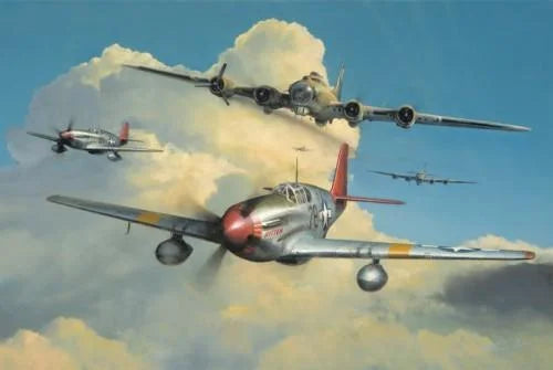 Red Tail Escort by Richard Taylor