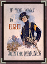 If You Want To Fight Join The Marines