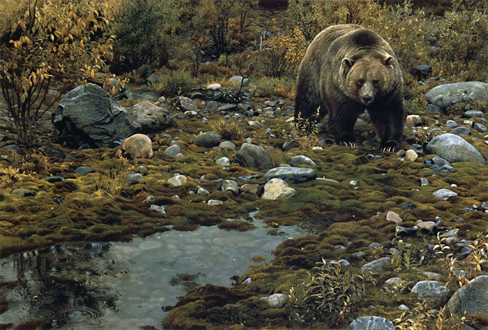 Trailblazer - Grizzly Bear by Carl Brenders